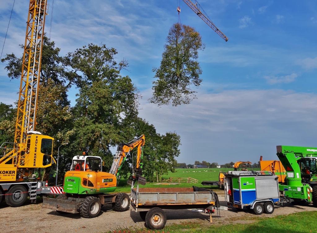 2019-10-24 Boomkap Stoep (9)