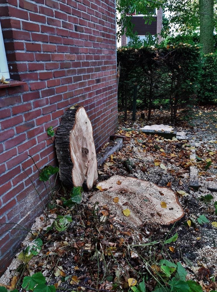 2019-10-24 Boomkap Stoep (24)