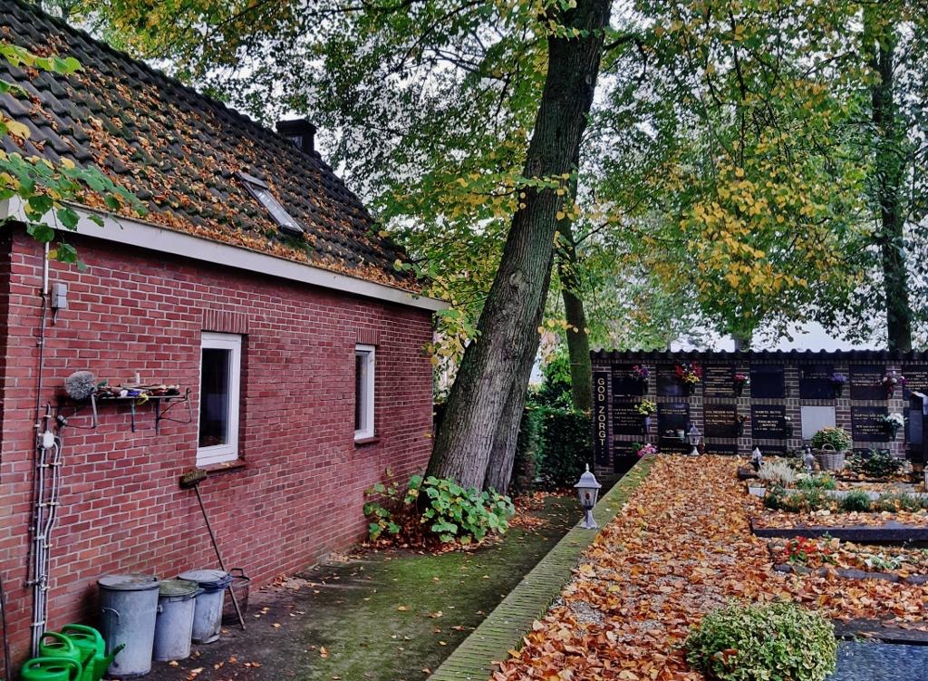 2019-10-24 Boomkap Stoep (1)