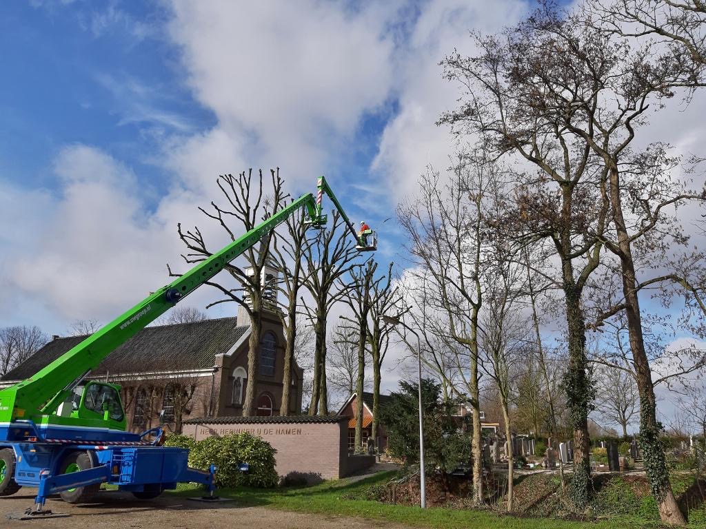 2020-3-4 Bomensnoei Kerkhof (13)