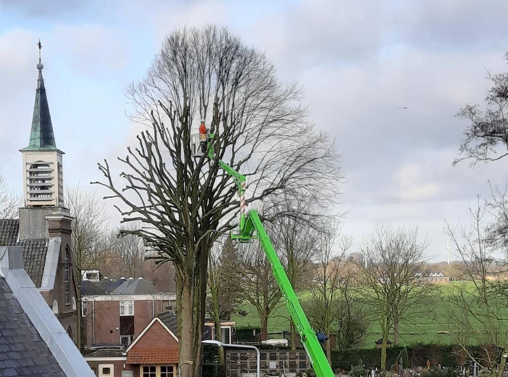 2020-3-4 Bomensnoei Kerkhof (2)