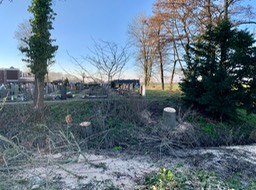 20230301-CBu Bomenkap bij begraafplaats IMG_2618